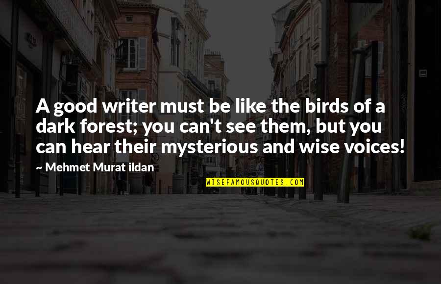 Dark Mysterious Quotes By Mehmet Murat Ildan: A good writer must be like the birds