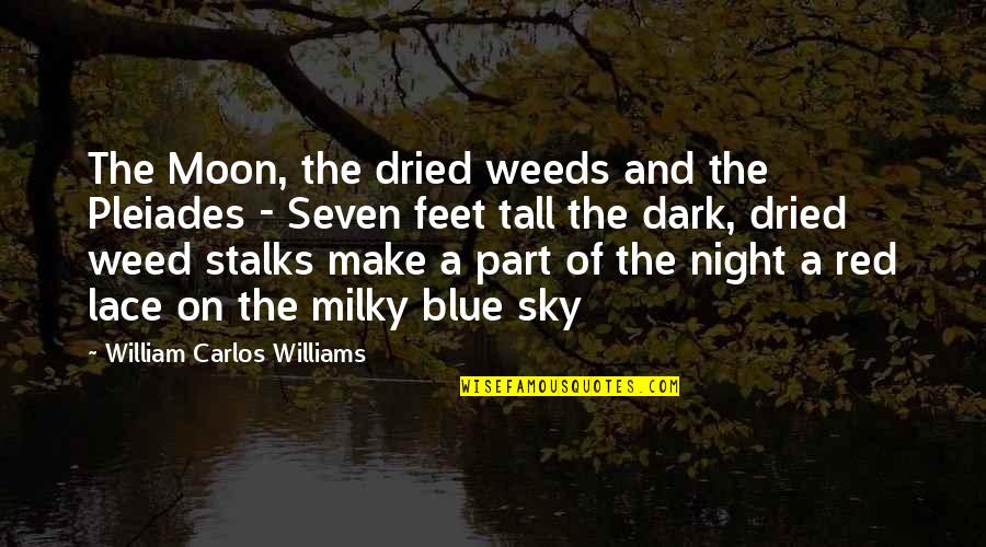 Dark Night Sky Quotes By William Carlos Williams: The Moon, the dried weeds and the Pleiades