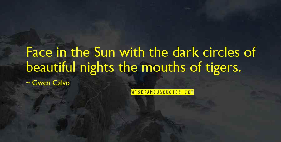 Dark Nights Quotes By Gwen Calvo: Face in the Sun with the dark circles