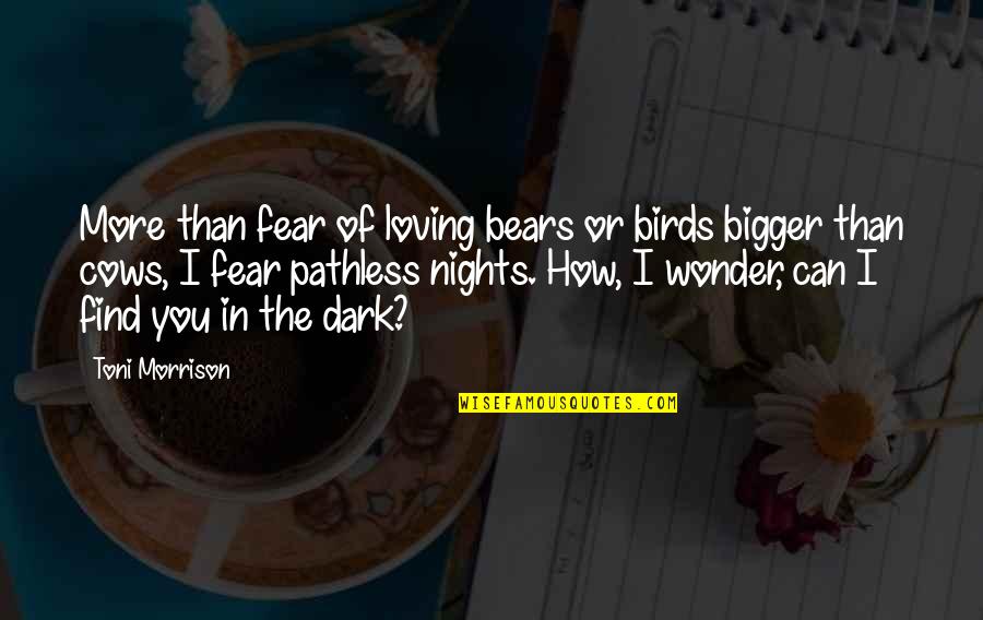 Dark Nights Quotes By Toni Morrison: More than fear of loving bears or birds