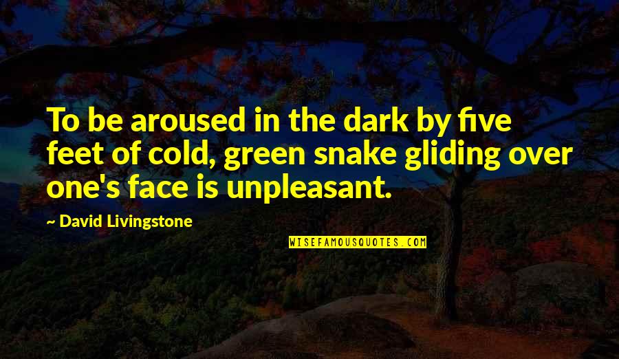 Dark One Quotes By David Livingstone: To be aroused in the dark by five