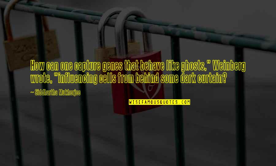Dark One Quotes By Siddhartha Mukherjee: How can one capture genes that behave like Dark One Quotes By Siddhartha Mukherjee: How can one capture genes that behave like