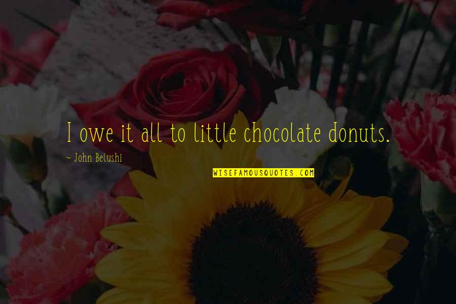 Dark Pasts Quotes By John Belushi: I owe it all to little chocolate donuts.