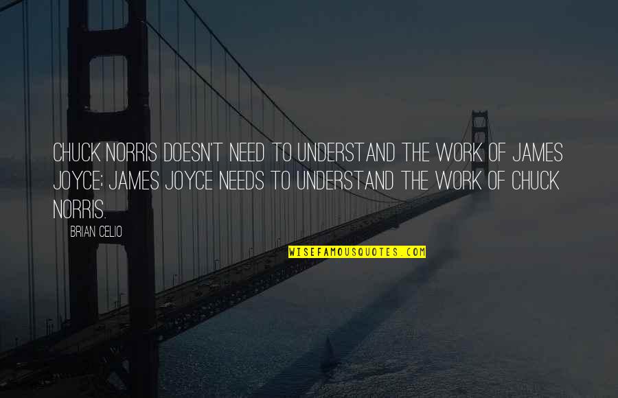 Dark Place Quote Quotes By Brian Celio: Chuck Norris doesn't need to understand the work Dark Place Quote Quotes By Brian Celio: Chuck Norris doesn't need to understand the work