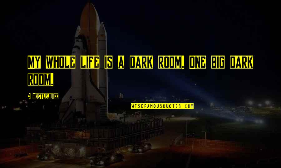 Dark Rooms Quotes By Beetlejuice: My whole life is a dark room. One