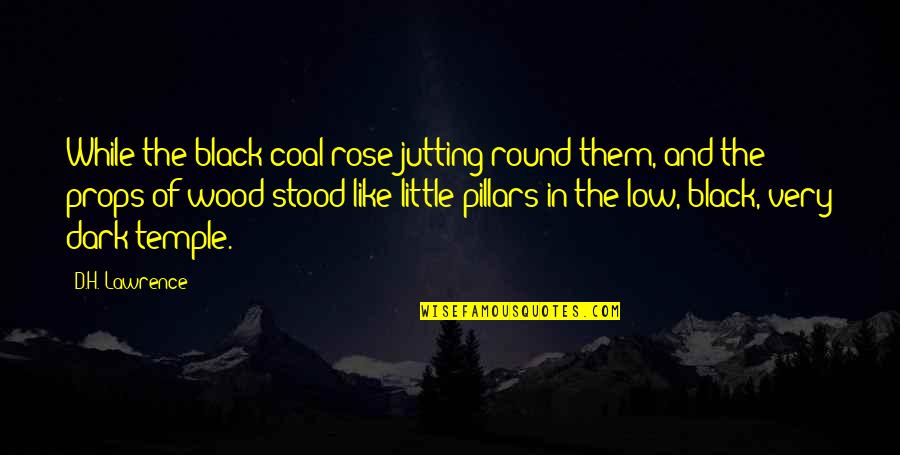Dark Rose Quotes By D.H. Lawrence: While the black coal rose jutting round them,