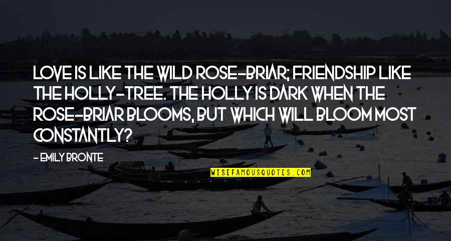 Dark Rose Quotes By Emily Bronte: Love is like the wild rose-briar; Friendship like