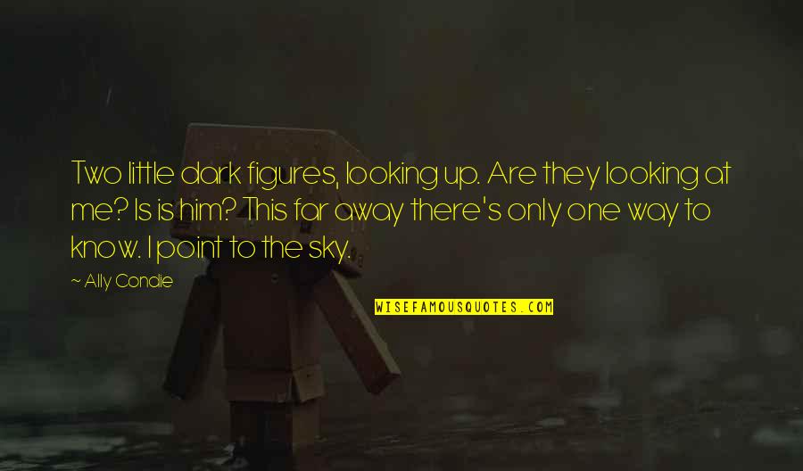 Dark Sky Quotes By Ally Condie: Two little dark figures, looking up. Are they