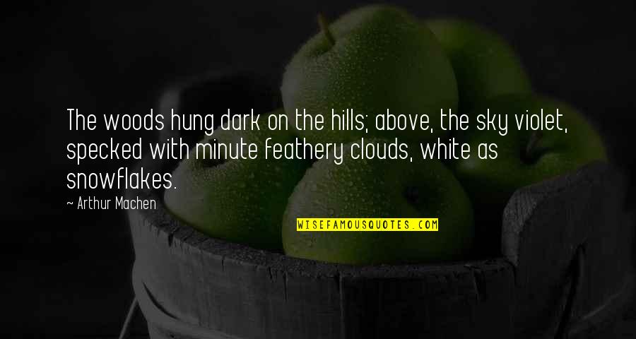 Dark Sky Quotes By Arthur Machen: The woods hung dark on the hills; above,