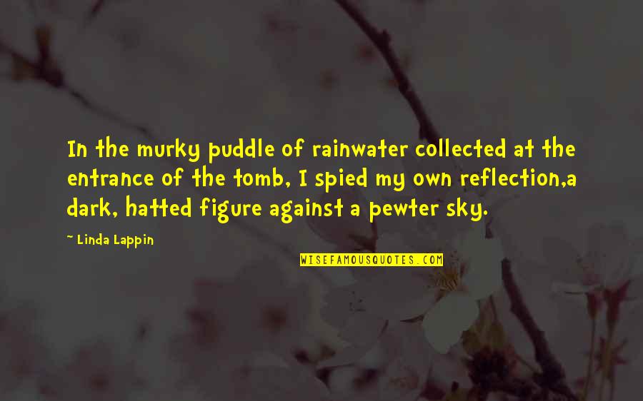 Dark Sky Quotes By Linda Lappin: In the murky puddle of rainwater collected at