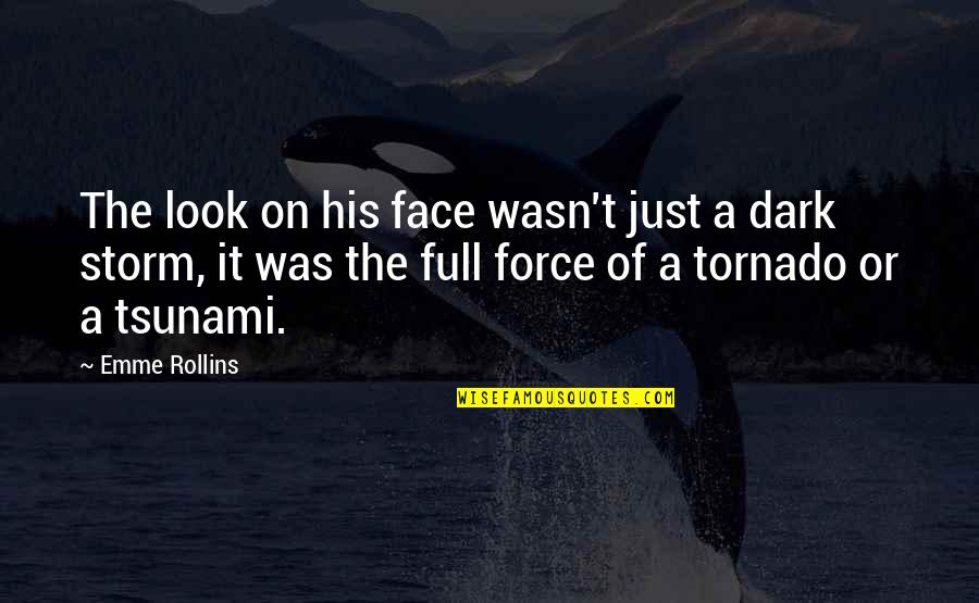 Dark Storm Quotes By Emme Rollins: The look on his face wasn't just a