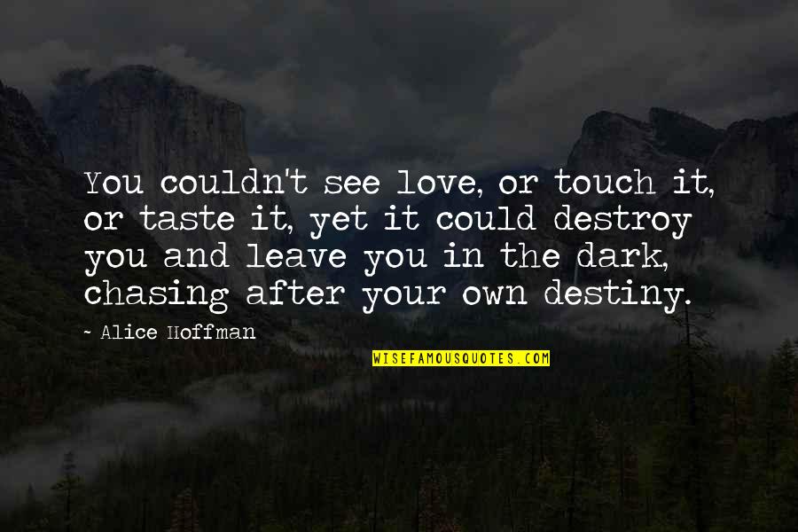 Dark Touch Quotes By Alice Hoffman: You couldn't see love, or touch it, or