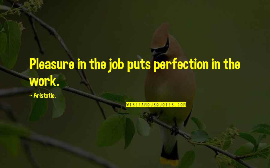 Dark Tunnels Quotes By Aristotle.: Pleasure in the job puts perfection in the