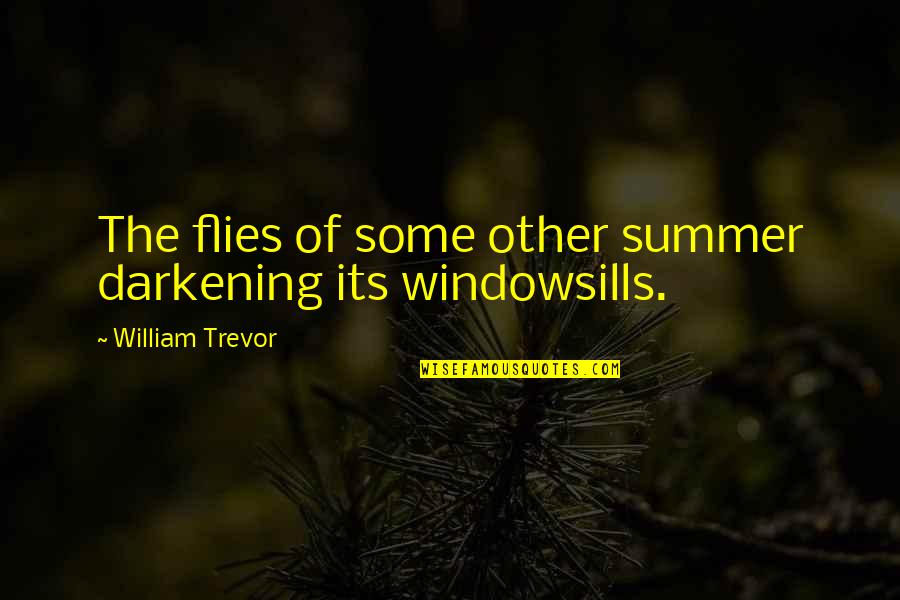 Darkening Quotes By William Trevor: The flies of some other summer darkening its