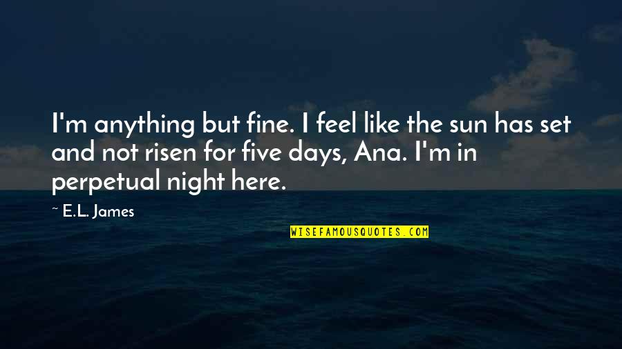 Darker Than The Night Quotes By E.L. James: I'm anything but fine. I feel like the