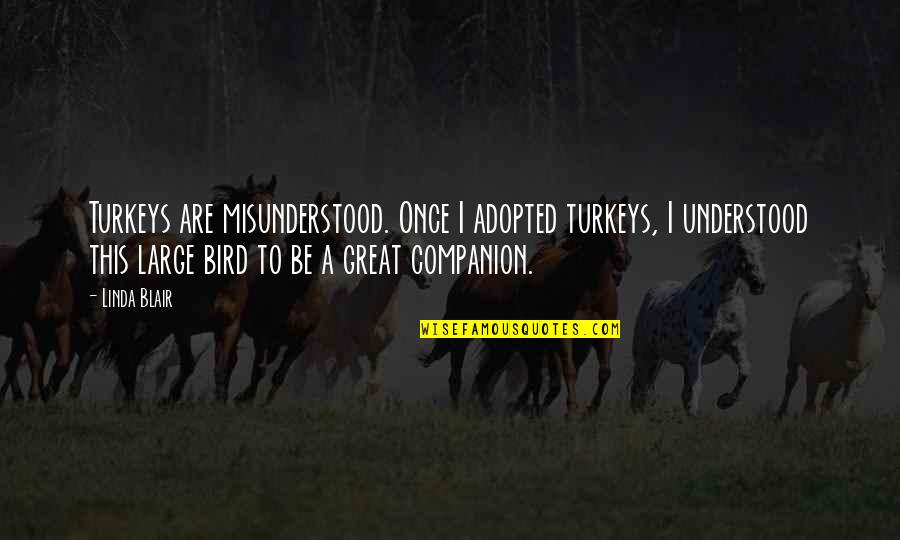 Darkest Moment Of My Life Quotes By Linda Blair: Turkeys are misunderstood. Once I adopted turkeys, I Darkest Moment Of My Life Quotes By Linda Blair: Turkeys are misunderstood. Once I adopted turkeys, I