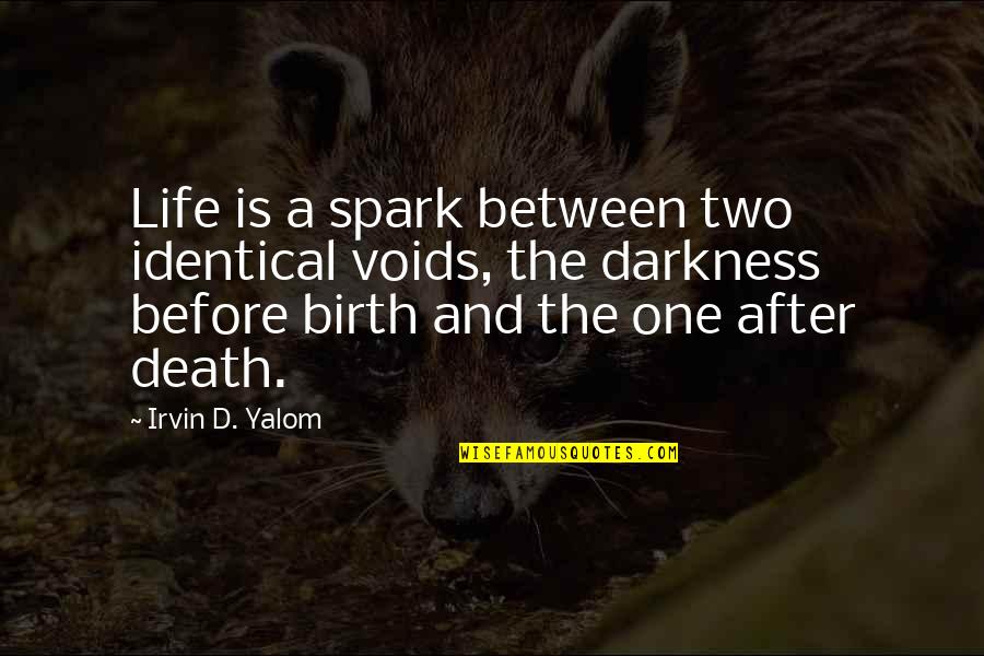 Darkness And Life Quotes By Irvin D. Yalom: Life is a spark between two identical voids,