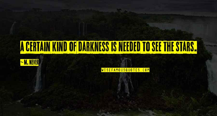 Darkness And Stars Quotes By M. Never: A certain kind of darkness is needed to
