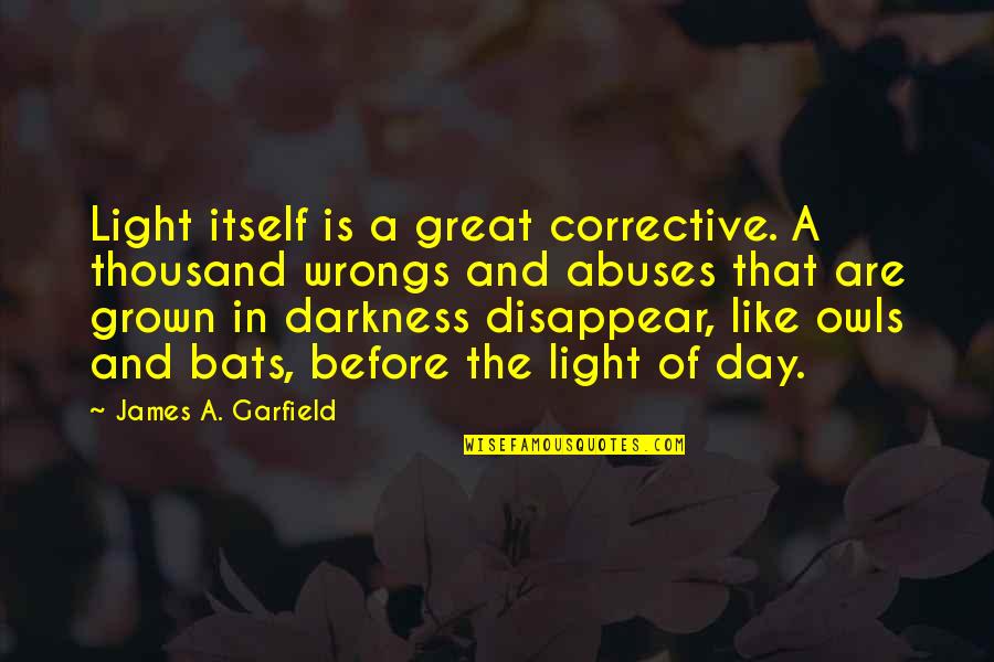 Darkness Before Light Quotes By James A. Garfield: Light itself is a great corrective. A thousand