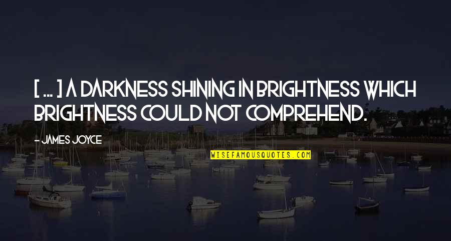 Darkness Brightness Quotes By James Joyce: [ ... ] a darkness shining in brightness