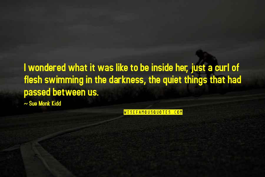 Darkness In Her Quotes By Sue Monk Kidd: I wondered what it was like to be