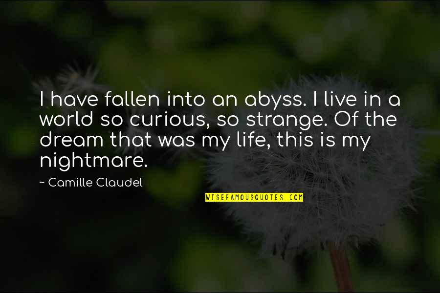 Darkness In My Life Quotes By Camille Claudel: I have fallen into an abyss. I live
