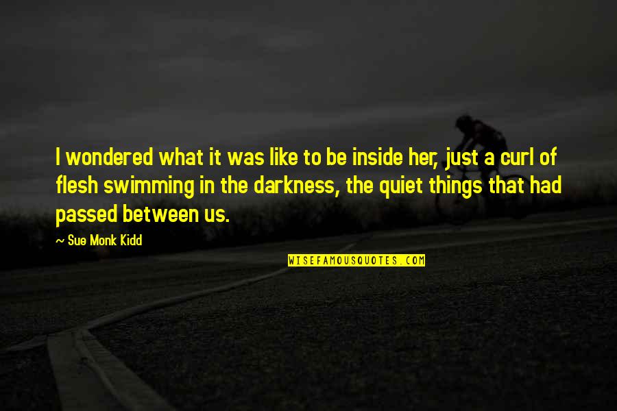 Darkness Inside You Quotes By Sue Monk Kidd: I wondered what it was like to be Darkness Inside You Quotes By Sue Monk Kidd: I wondered what it was like to be