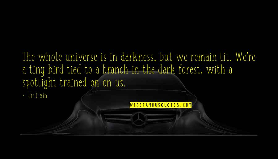 Darkness Is Us Quotes By Liu Cixin: The whole universe is in darkness, but we Darkness Is Us Quotes By Liu Cixin: The whole universe is in darkness, but we