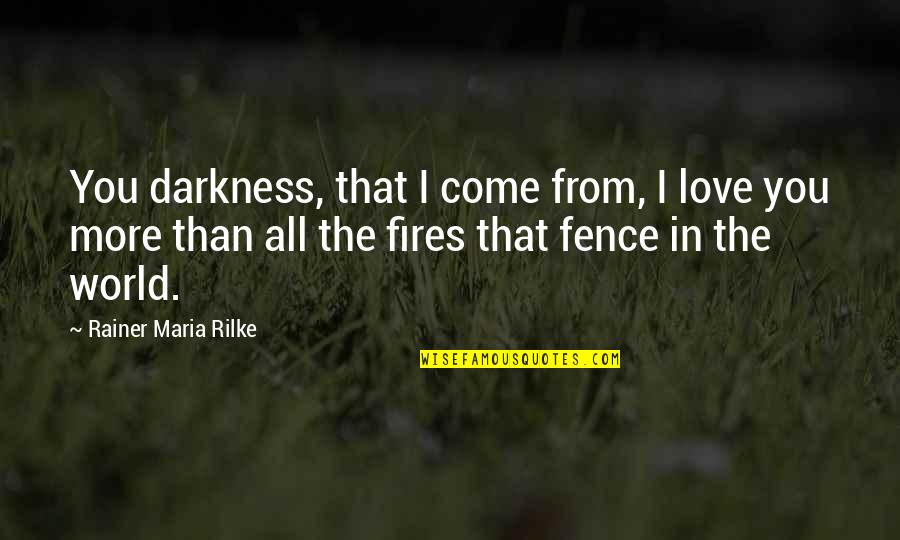 Darkness Love Quotes By Rainer Maria Rilke: You darkness, that I come from, I love