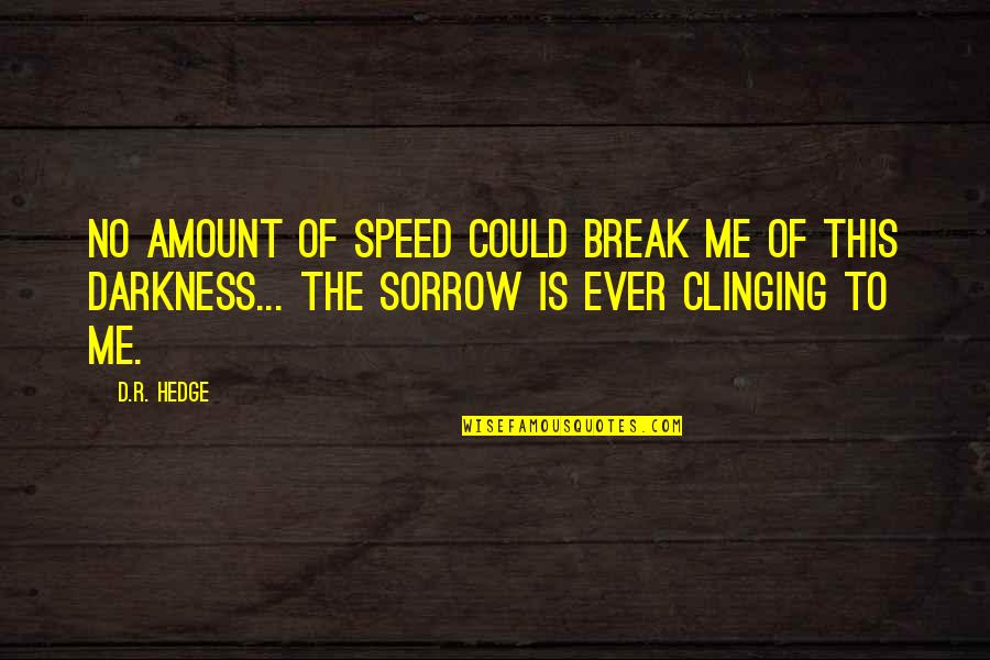 Darkness Of Depression Quotes By D.R. Hedge: No amount of speed could break me of