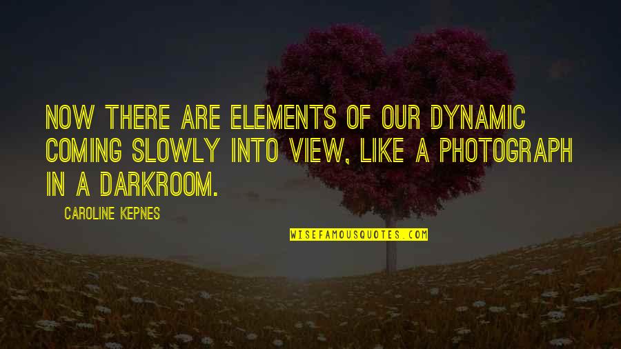 Darkroom Quotes By Caroline Kepnes: Now there are elements of our dynamic coming