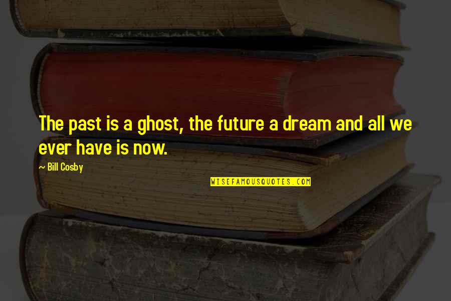 Darkrose Manor Quotes By Bill Cosby: The past is a ghost, the future a