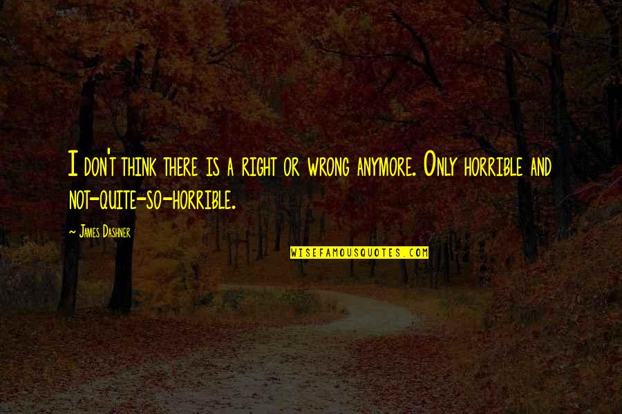 Darkscape Private Quotes By James Dashner: I don't think there is a right or