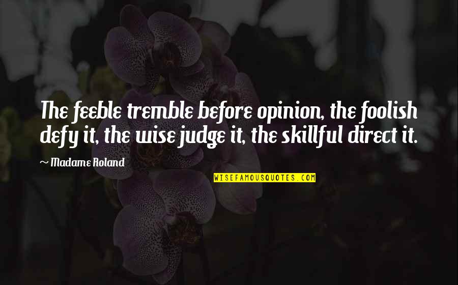 Darkseid Vs Superman Quotes By Madame Roland: The feeble tremble before opinion, the foolish defy Darkseid Vs Superman Quotes By Madame Roland: The feeble tremble before opinion, the foolish defy