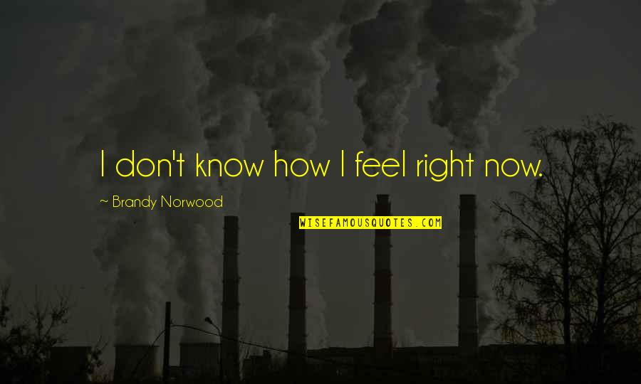 Darlene Olivia Mcelroy Quotes By Brandy Norwood: I don't know how I feel right now. Darlene Olivia Mcelroy Quotes By Brandy Norwood: I don't know how I feel right now.