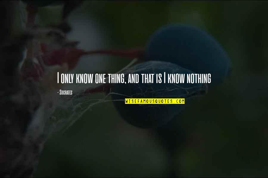Darlesia Everlasting Quotes By Socrates: I only know one thing, and that is