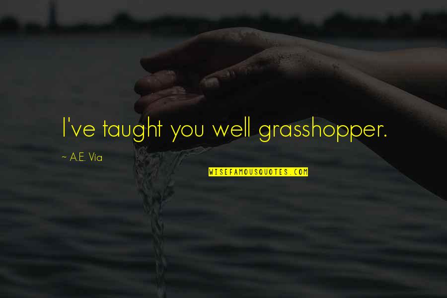 Darlisha Dior Quotes By A.E. Via: I've taught you well grasshopper.