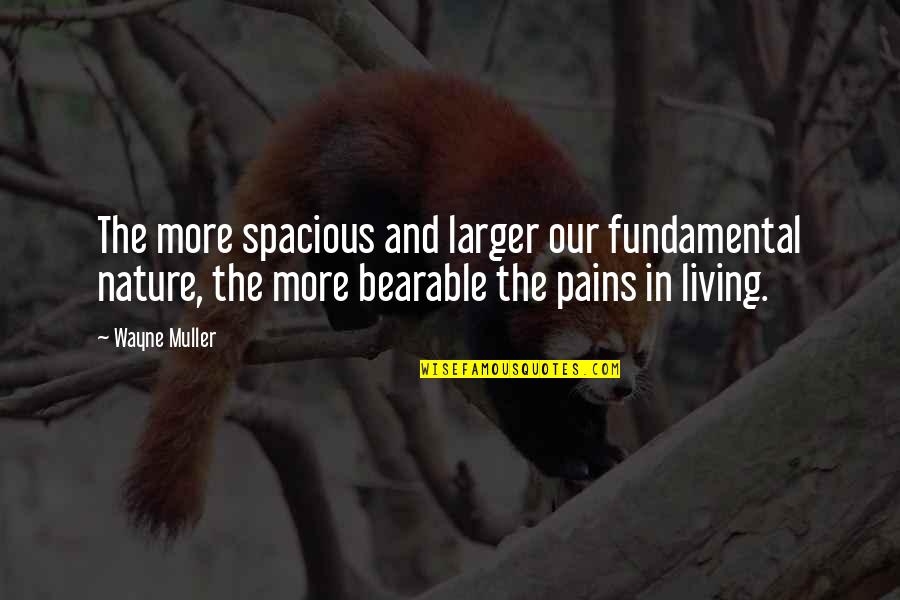 Darmody Quotes By Wayne Muller: The more spacious and larger our fundamental nature,