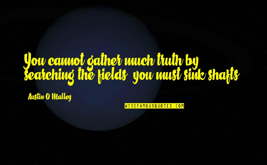 Darnic Fate Quotes By Austin O'Malley: You cannot gather much truth by searching the