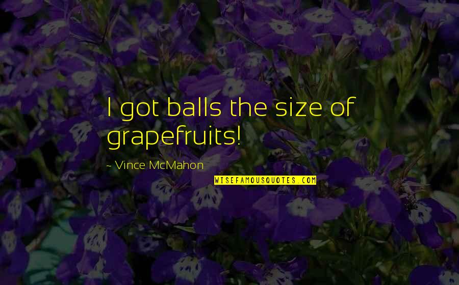 Darragh Quotes By Vince McMahon: I got balls the size of grapefruits!