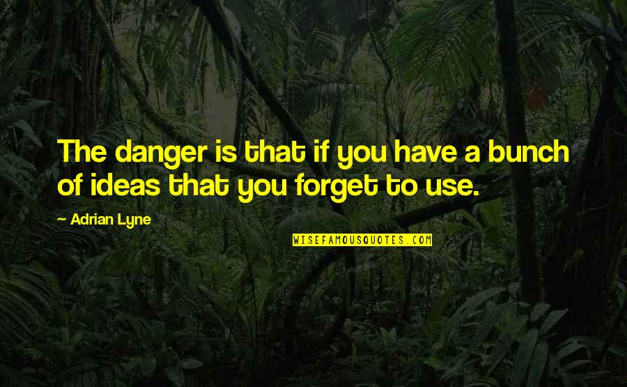 Darren Siao Quotes By Adrian Lyne: The danger is that if you have a