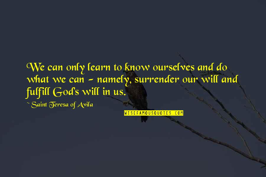 Darren Weissman Quotes By Saint Teresa Of Avila: We can only learn to know ourselves and