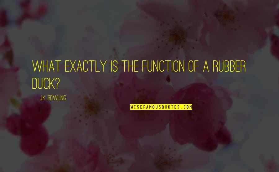 Darrens Automotive Quotes By J.K. Rowling: What exactly is the function of a rubber