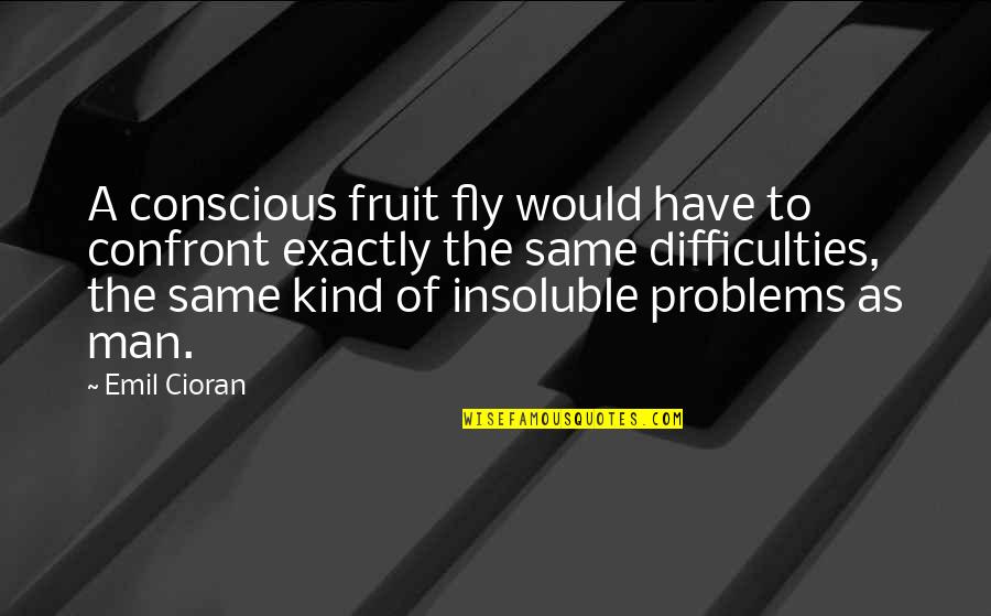 Darrens Custom Quotes By Emil Cioran: A conscious fruit fly would have to confront