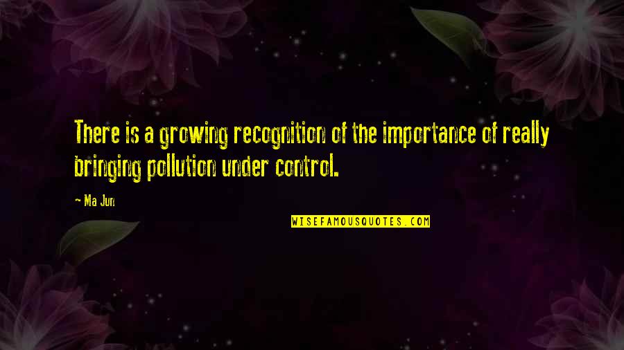 Darrin Peppard Quotes By Ma Jun: There is a growing recognition of the importance Darrin Peppard Quotes By Ma Jun: There is a growing recognition of the importance