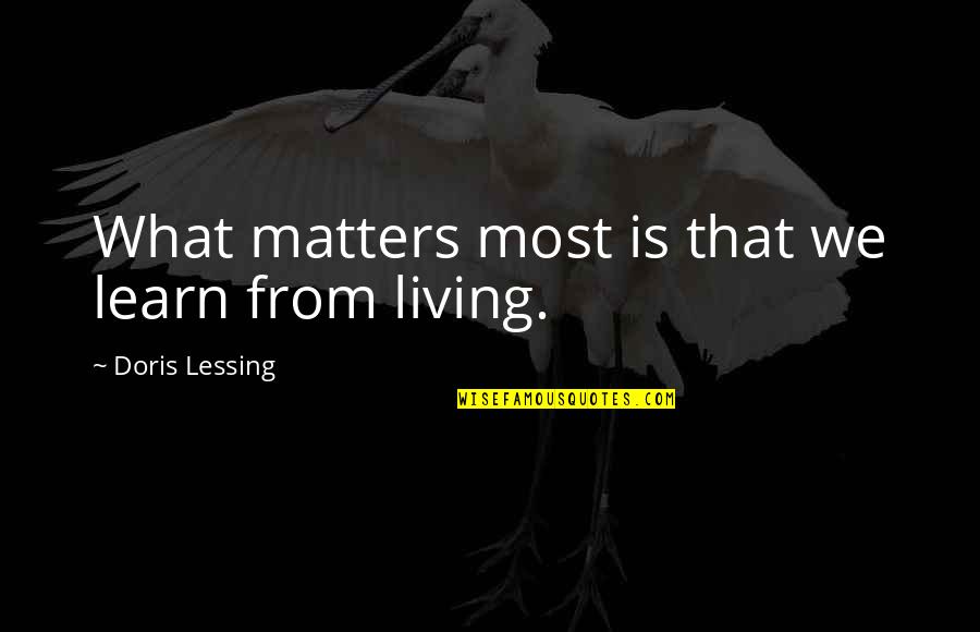 Darrin Quotes By Doris Lessing: What matters most is that we learn from