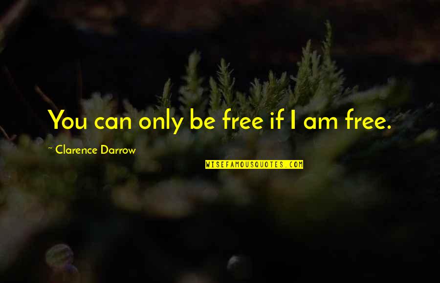 Darrow's Quotes By Clarence Darrow: You can only be free if I am
