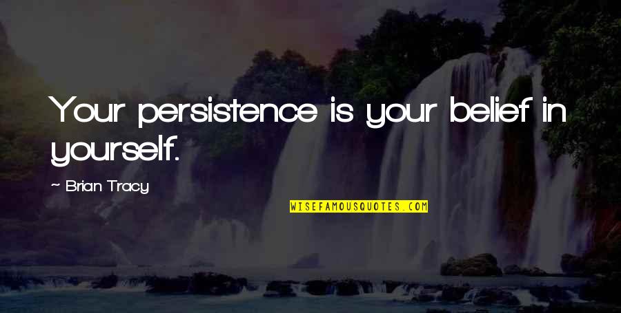 Dartington Parish Council Quotes By Brian Tracy: Your persistence is your belief in yourself.