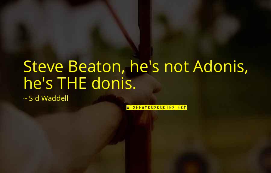 Darts Sid Waddell Quotes By Sid Waddell: Steve Beaton, he's not Adonis, he's THE donis.