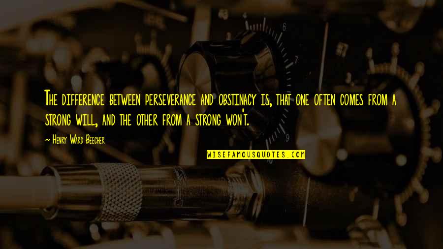 Darussalam Foundation Quotes By Henry Ward Beecher: The difference between perseverance and obstinacy is, that Darussalam Foundation Quotes By Henry Ward Beecher: The difference between perseverance and obstinacy is, that